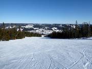 Intermediate slope No. 15