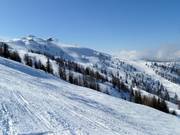 Bowl for powder skiers at the Kaiserburg