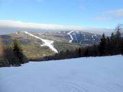 View from Zwieselberg to Reischlberg and Hochficht