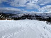 Easy slope Lätta Blåbär