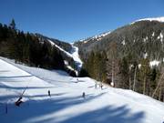 View of the slopes in the Kopaonik ski resort