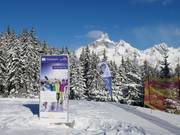 Photo point with Bischofsmütze in the background