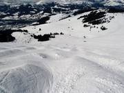 Start of the mogul slope