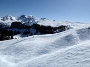 Open ski area at Laucherenstöckli