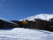 Snow cannon at the Ronalp