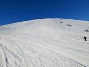 Slope No. 29 South Divide