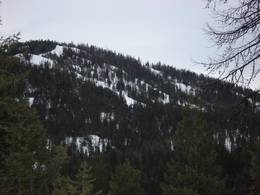 Ski resort Loup Loup Ski Bowl