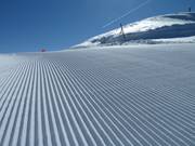 Also very beautiful in detail