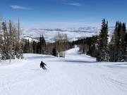 Slope at the McConkey's Express chairlift