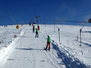 Wallerlift Monte Gogo - J-bar