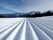 Perfect slope preparation in the ski resort of Jochgrimm (Passo Oclini)