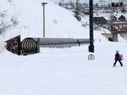 Mule Train - People mover/Moving Carpet with cover