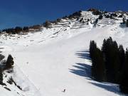 Wide slope at Walmendingerhorn