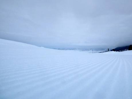 Slope preparation Wyoming – Slope preparation Snow King Mountain – Jackson