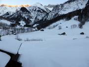 Cross-country skiing Elm