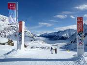 Sector 02: Cross course