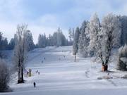 Slope Sjezdovka lišáka Foxe