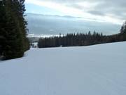 Groomed slope in the Fernie ski area