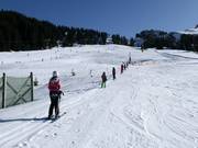 Easy Cheesy - Rope tow/baby lift with low rope tow