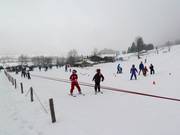 Seillift Kuli 1 (E) - Rope tow/baby lift with low rope tow