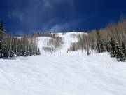 Steep slope at the Lady Morgan Express chairlift