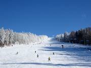Intermediate slope at the Große Almberg chairlift