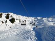 Powder slopes in Zell am Ziller