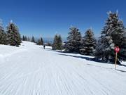 Connecting slope No. 12 Gobelja