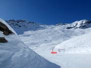 Endless powder slopes in Zinal