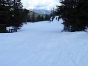 Groomed slope at Cypress Mountain