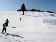 Easy slope in Kaniówka
