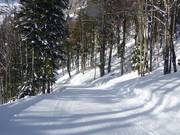 Salzberg easy ski route