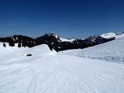 Easy slope Nätschboden