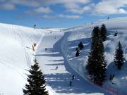 Upper section of the Pioverna slope No. 25