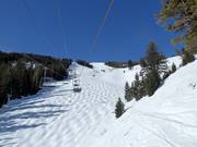 Mogul slope at Thunder Wolf