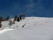 Extensive artificial snow production facilities on the slopes
