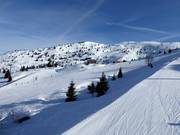 View from the S. Antonio slope towards Cima Paganella