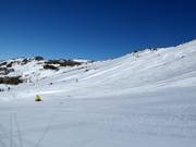 View over the slopes in the Central Spur area