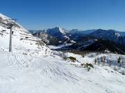 Freeride opportunities at Frauenkar