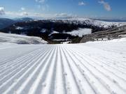 Very well-groomed slopes in Lachtal