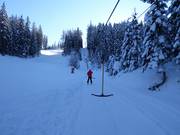 Starnberglift 2 - T-bar