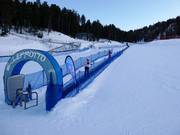 Leprotto conveyor belt