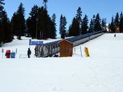 Goldie Magic Carpet - People mover with cover