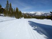 Trail in Big Sky Resort
