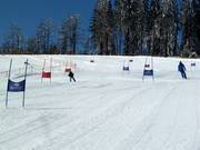 Parallel giant slalom course for children with double time measurement system