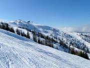 Wide terrain at the Kaiserburg