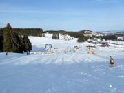 Wide and easy slopes dominate at the Schwärzen lifts.