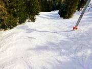 Forest trail below the 4-seater chairlift Méné