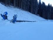 Biancaneve - People mover/Moving Carpet