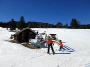 Übungslift Kranzberg Comfort Star - Rope tow/baby lift with low rope tow